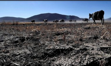 Cambio climático afecta a la producción de alimentos