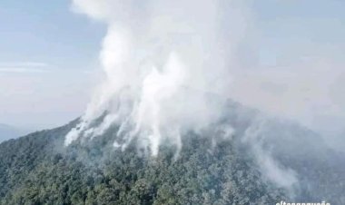 Incendio consume mil hectáreas de San José Tenango