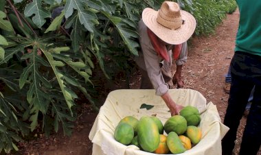 Tecnológico de Tecomatlán y el INAES impulsan la agricultura en la Mixteca