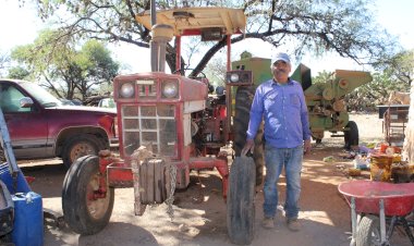 Baja la expectativa de producción de frijol en Zacatecas