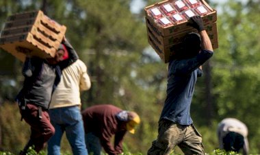 Desmintiendo el mito de la pereza y la pobreza en México