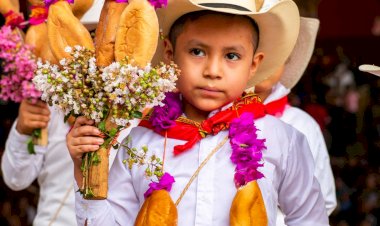 Indigenismo hipócrita o lucha revolucionaria