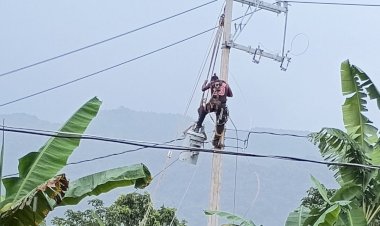 Logra Antorcha extensión de red eléctrica en comunidad de la Sierra del Gallego