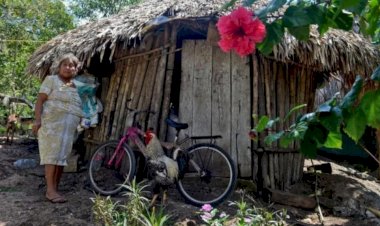 Pobreza afecta a miles de campesinos tulumenses