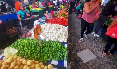 Sin prestaciones 5 de cada 10 trabajadores jaliscienses