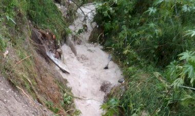 Se pierde el 60 por ciento de la siembra de maíz en Costa Grande