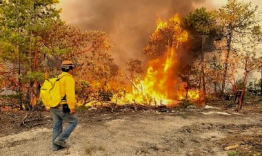 Incendios en Sierra tarahumara consumen casas en Bocoyna